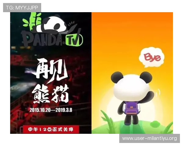 如何在熊猫直播平台上快速找到优质主播，提升你的观看体验与互动乐趣