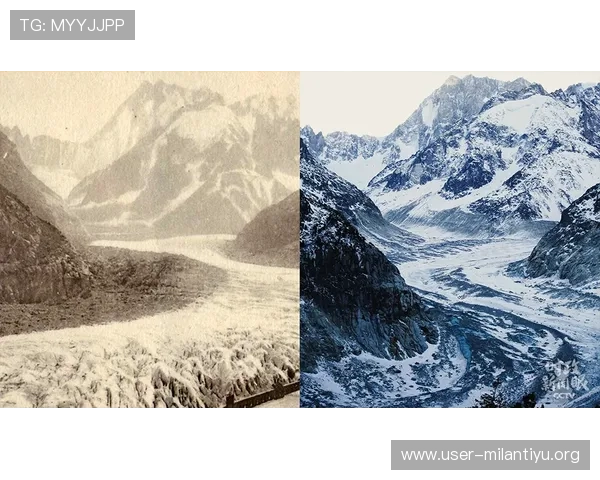 如何正确把握捷克对韩国比赛竞猜中的风险与注意事项